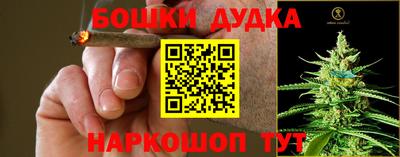 эйфоретик Сланцы