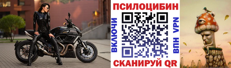 Псилоцибиновые грибы Cubensis  Старая Русса 