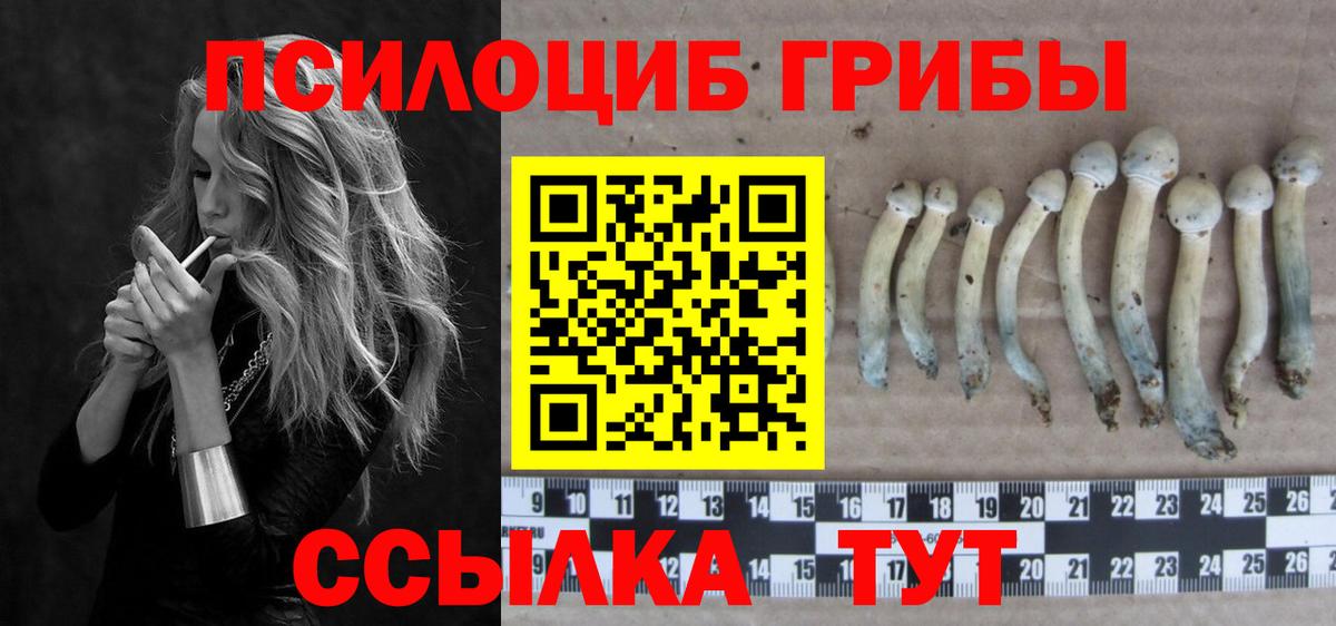Псилоцибиновые грибы прущие грибы Старая Русса